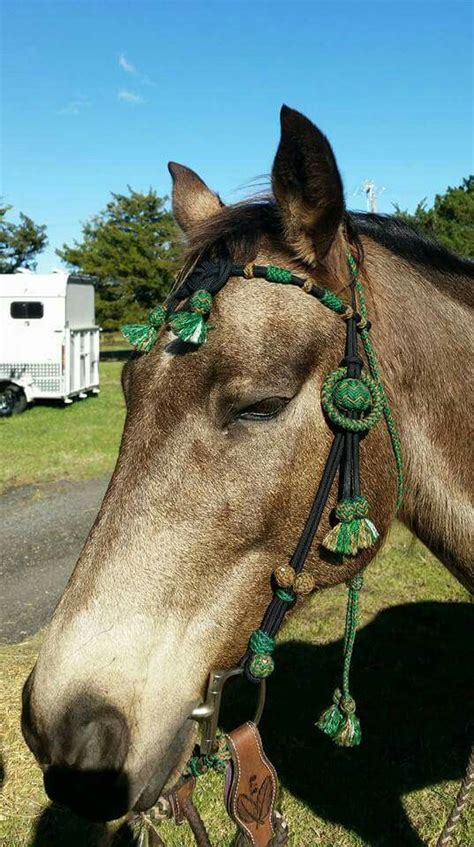 Maybe you would like to learn more about one of these? Paracord braided bridle in emerald green, tan and black ...