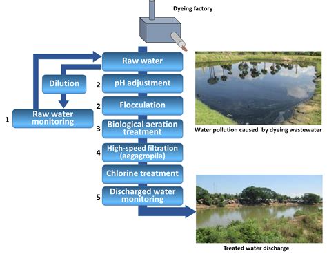 Effects Of Water Pollution Flowchart