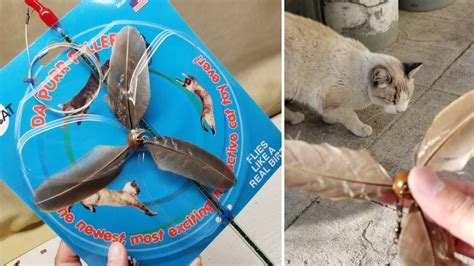 Da bird consists of a 36 fiberglass rod, 50 lb. REVIEW! GoCat Da Purr-Peller and Da Bird Cat Toys! - YouTube