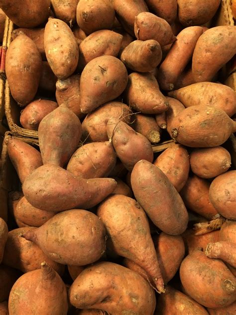 Fall For Sweet Potatoes In November Brg Health Bonnie R Giller