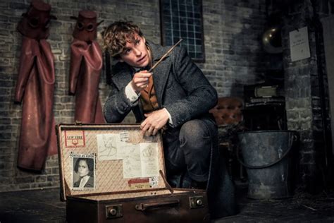 Is Fantastic Beasts Retconning The Harry Potter Franchise Geeks