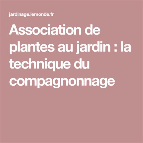 Association de plantes au jardin : la technique du compagnonnage