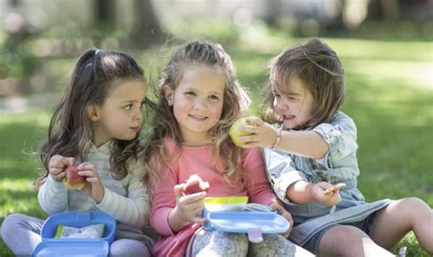 Research Shows Majority Of Packed Lunches Are Nutritionally Poor Uk News Uk