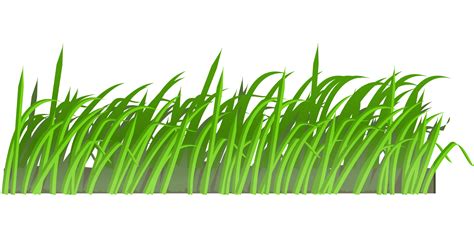 Add an iron supplement to your lawn. Grass clipart light green, Grass light green Transparent ...