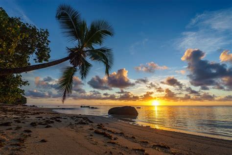 Photo Sunset Seychelles Sand Free Pictures On Fonwall