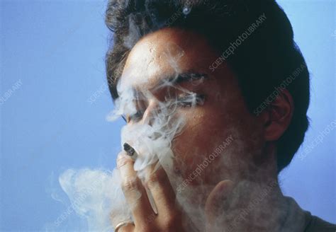 smoker s head enveloped in smoke stock image m370 0227 science photo library