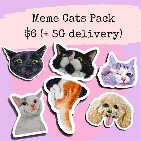Cat Meme 1080x1080 Sadcat Meme Memes Sad Cat Crying Cat Meme  Hd