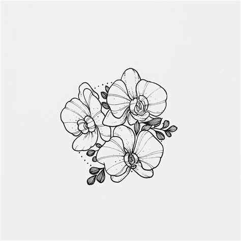 There are also going to be a lot of red carnations on my back shoulder (my grandmother's favorite flower). Pin by Amy Tyers on Doodles to Draw | Flower drawing, Orchid flower tattoos, Orchid tattoo
