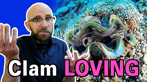 Administratorjuly 26, 2019july 26, 2019. How Do Clams Reproduce? - YouTube