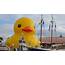Worlds Largest Rubber Duck Everything You Wanted To Know About Selfie 