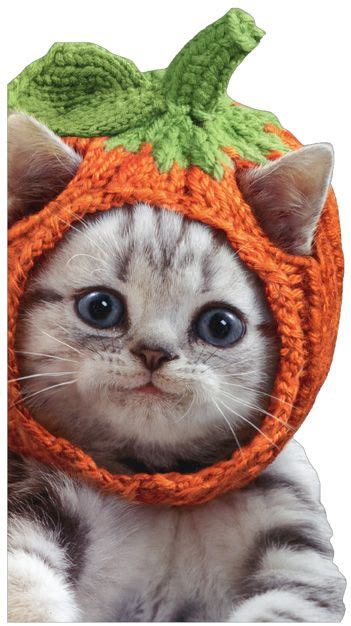 Kitten Knit Pumpkin Hat Cute Cat Little Big Funny Halloween Card By Avanti Press Kitten