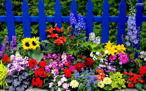 Wij hebben voor u een stappenplan opgesteld, waardoor het niet mis kan gaan. 47+ Summer Flowers Screensavers and Wallpaper on ...