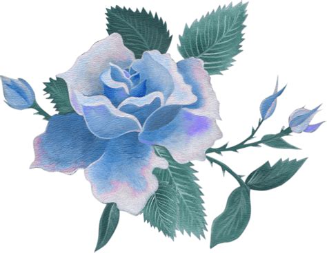 Blue Flower Spring Png Image Png All Png All