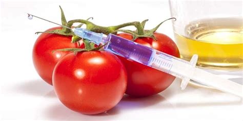Storytelling that lasts a lifetime. OGM: la verità sul cibo col Dna modificato | best5.it
