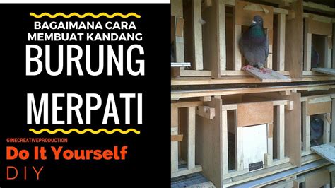 Diy Cara Mudah Membuat Kandang Burung Dara Murahhhh Youtube