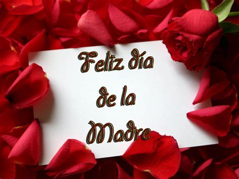 With tenor, maker of gif keyboard, add popular feliz dia de la madre animated gifs to your conversations. SOCIOLOGIA POLITICA.: FELIZ DÍA DE LA MADRE. MADRES ...
