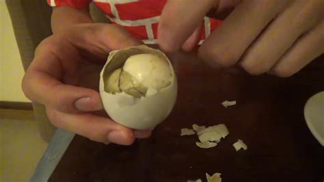 孵化直前のアヒルの卵を食べてみた。【バロット】 youtube