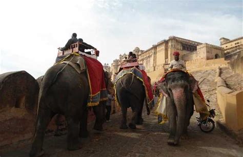 Amber Fort Elephant Ride In Jaipur 10 Reviews And 17 Photos