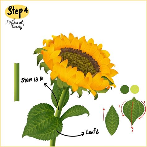 Effortless Sunflower Tutorial For Procreate