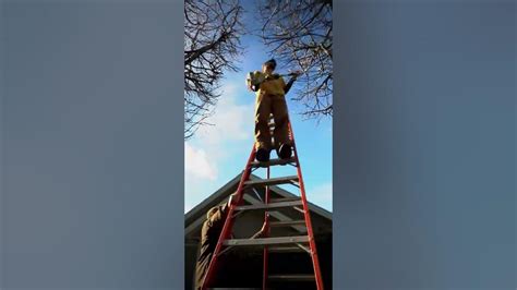 Dont Undercharge For Tree Trimming ⚠️ Youtube