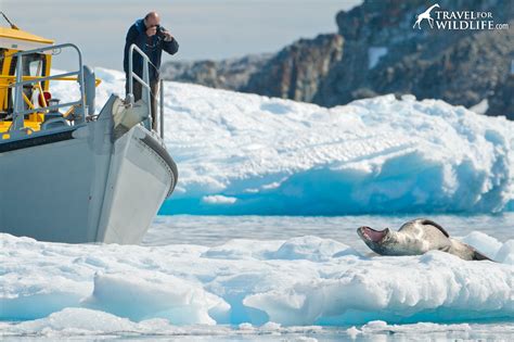 SA Luxury Expeditions Reviews Patagonia Tours - Travel For Wildlife
