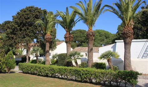 Abbiamo dedicato circa 2 ore alla visita della casa e dei giardini realizzati interamente da garibaldi, al quale dedicherò un racconto in seguito, poi abbiamo proseguito la nostra visita a caprera per raggiungere la. Casa Garibaldina | SardegnaTurismo - Sito ufficiale del ...