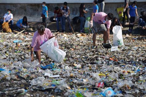 Mais De 5 Mil Voluntários Unem Forças Para Cuidar Do Meio Ambiente Limpando 45 Toneladas De Lixo