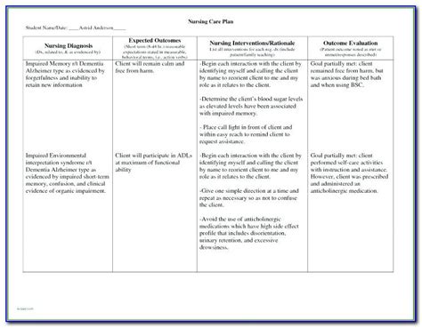 Hospice Care Plan Template Template Resume Examples 3noly6lrka