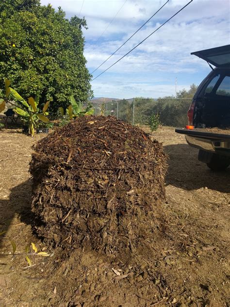 Quoddy blend cuft lobster compost extra rich soil conditioner. compost pile in wire tomato cage - Greg Alder's Yard Posts ...