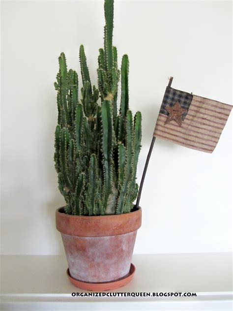 Discover the history, meaning and the uses of cactus. Houseplants Make a Home - Organized Clutter