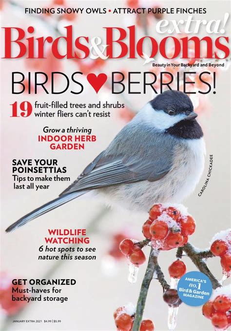 Birds And Blooms Extra Subscription | Magazine-Agent.com