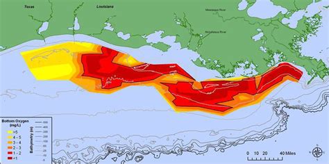 Gulf Of Mexico Dead Zone Larger Than Expected This Year