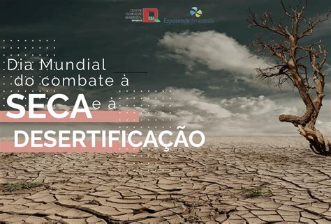 Dia Mundial Do Combate à Seca E à Desertificação 17 De Junho Cea Em Blogue