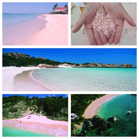 Pink Sand Beaches Bahamas Bermuda The Seychelles Islands In The