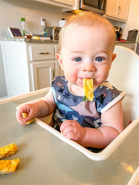 Baby Led Weaning Tips And Resources Laptrinhx News