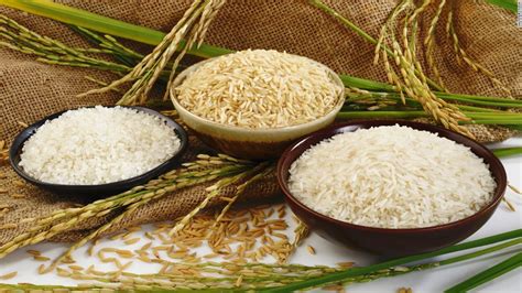 Is Rice Healthy Cnn