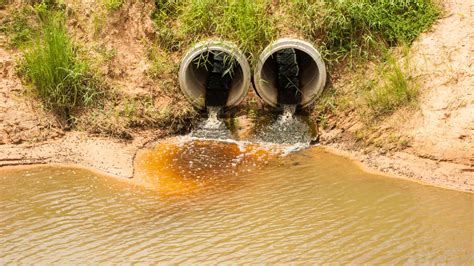 Soil pollution can affect human life adversely. Israelis develop system for cleaning industrial pollution ...