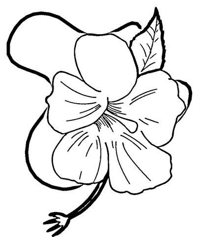 There is no doubt that coloring is one of the best ways to make kids engage in creative activities. Printable Hawaiian Flowers - ClipArt Best