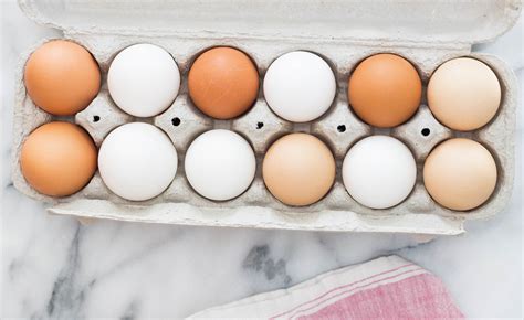 I've heard that the fibrous ones are great for starting seeds. Choose eggs from happy chickens - David Suzuki Foundation