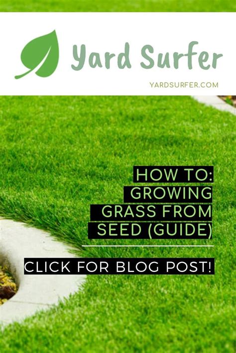 Zoysia planting can also be done in early fall, but make sure to plant at least 60 days before the first fall frost. Learn the best way how to grow green grass from seed anywhere. Get your lawn grass to grow ...