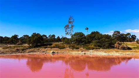 Descubre Las Increíbles Aguas Rosadas Del Lago Hillier En Australia