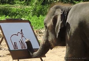Amazing Animated Elephant Gif Images at Best Animations