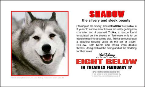 If you want to view this list of eight below. BYJ, JKS, LMH & Hallyu Star (Asian Drama - Movie ...