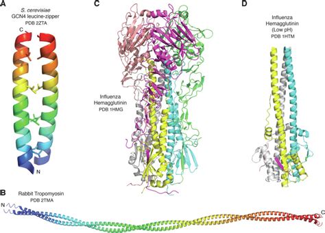 Understanding A Protein Fold The Physics Chemistry And Biology Of α