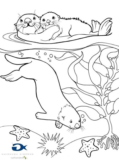 Sea Otter Coloring Page Bird Coloring Pages Detailed Coloring Pages