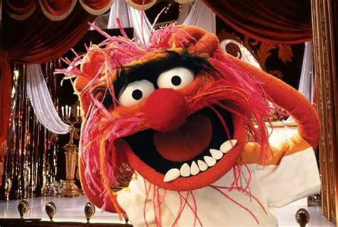 Animal Animal Muppet The Muppet Show Muppets