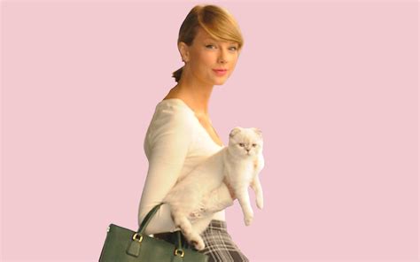 Taylor Swifts Cats Meredith Grey Olivia Benson And Benjamin Button