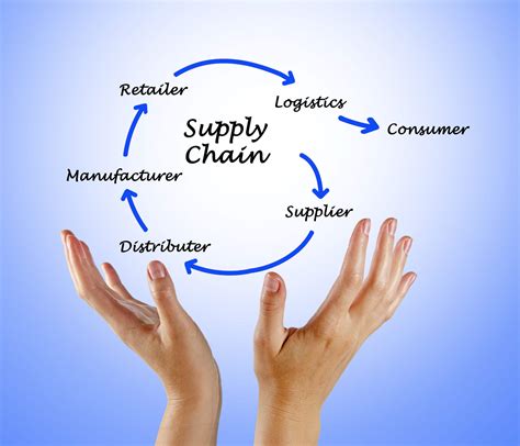 Scandaleux Charnière Intégral Why Supply Chain Management Calligraphe