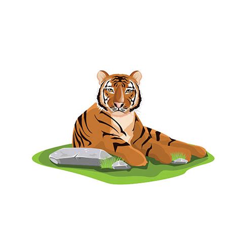 Tiger Eating Stock Photos Pictures And Royalty Free Images Istock
