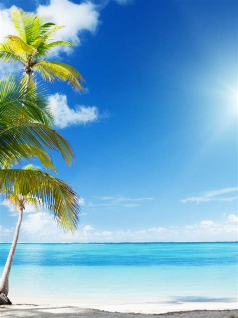 Free Download Pics Photos Tropical Sunny Beach 1920x1080 For Your